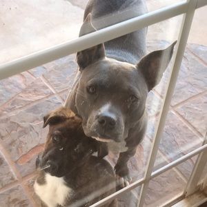 Meet your Posher, Bianca